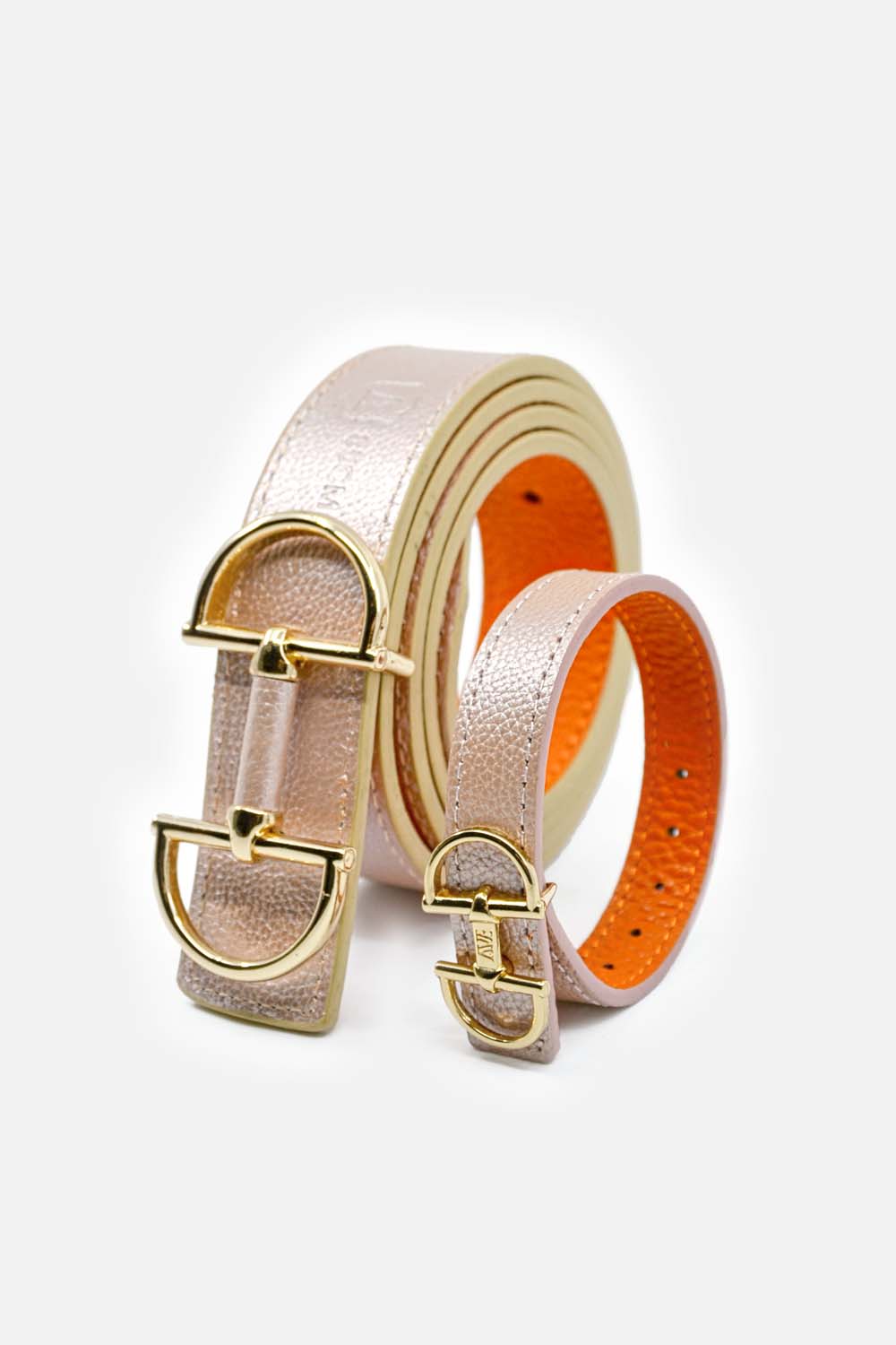 Jewelry bracelet made of leather with a snaffle as a clasp and a box