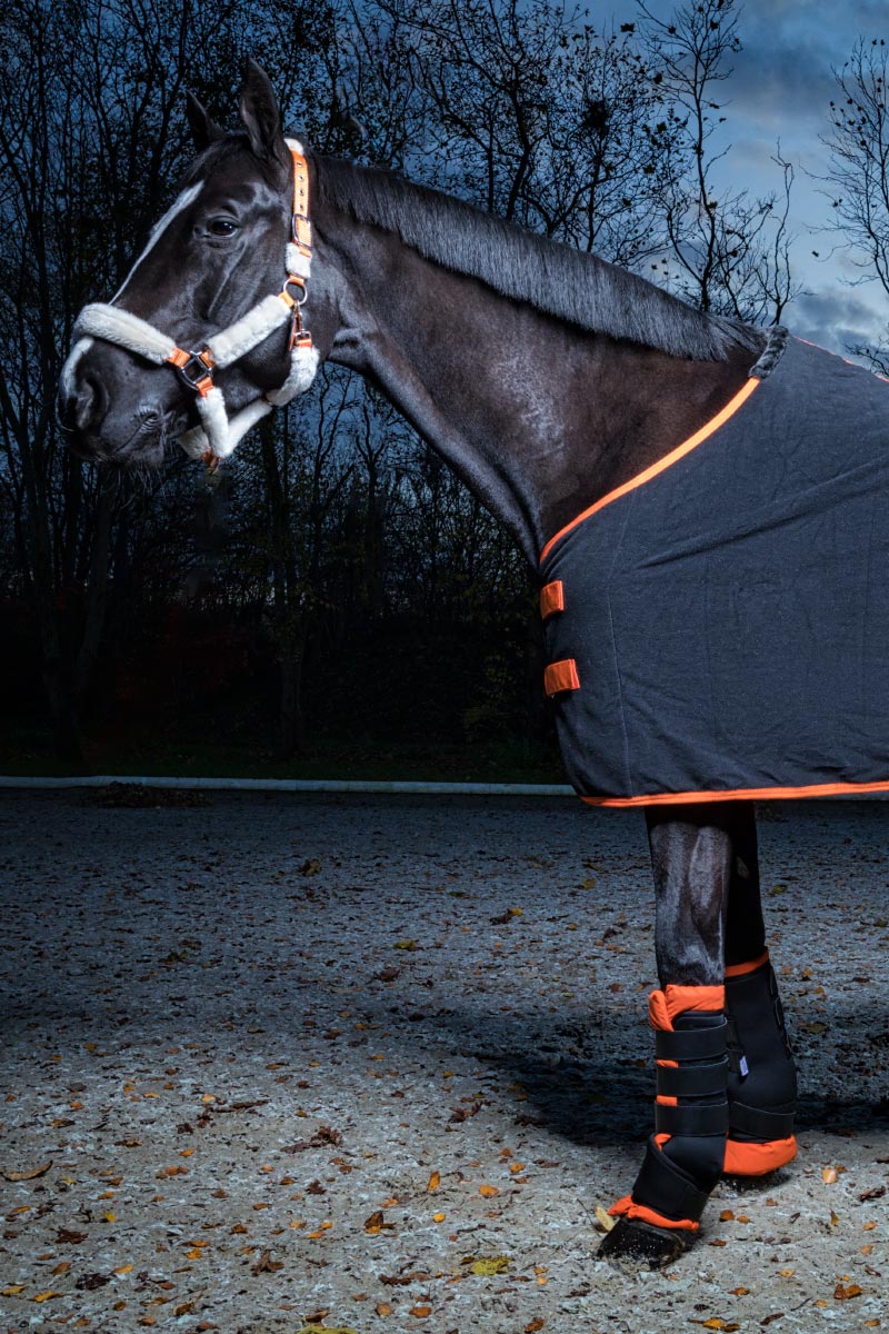 4 Stable boots with comfort filling and Velcro